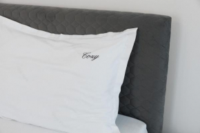 Cozy ApartHotel K Suceava